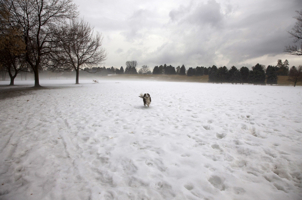 dally-snow2HighRes